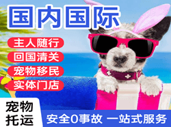 大理凤仪机场快递国际宠物托运 【国